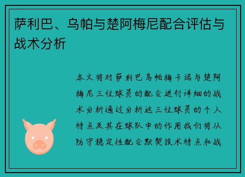 萨利巴、乌帕与楚阿梅尼配合评估与战术分析